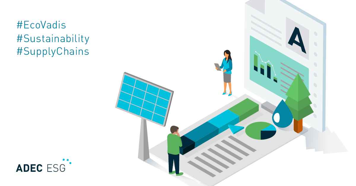 Why Evaluate Supply Chain Sustainability? Resilience, Regulation, and the Role of EcoVadis