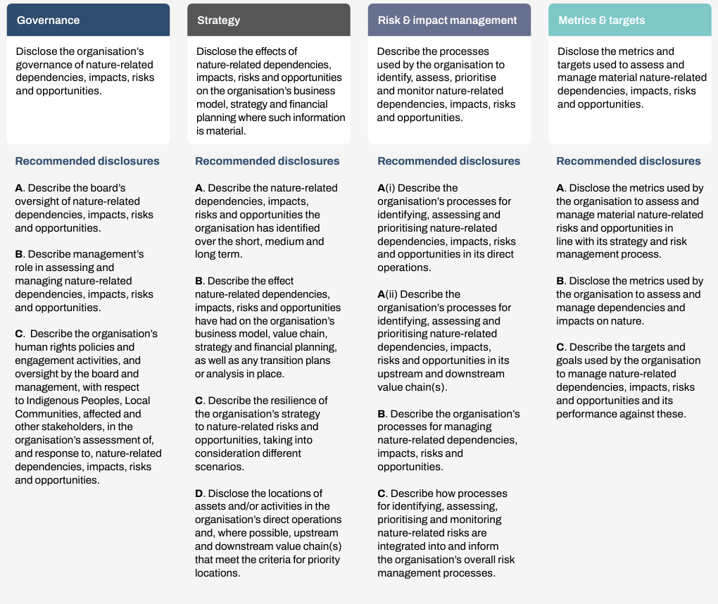 An excerpt from the TNFD Recommendations, sorted into columns of Governance, Strategy, Risk and impact management, and metrics and targets