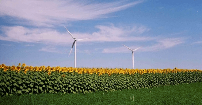 Turning Renewable Energy Into Sustainable Energy Banner Image