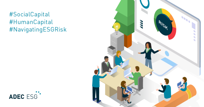 Navigating the Social Pillar: Human Capital and Social Capital Risk ...