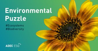 20250414_ESG_Blog_Environmental Puzzle_Image_02