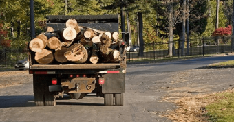 Policies to End Deforestation and Climate Change in Business Supply Chains Banner Image