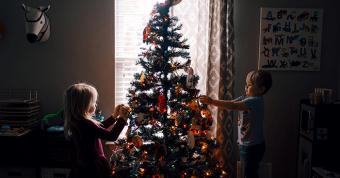 Three Ways to Responsibly Dispose of (or Reuse) Your Holiday Tree Banner Image