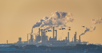 Birds flying over smoking oil refinery